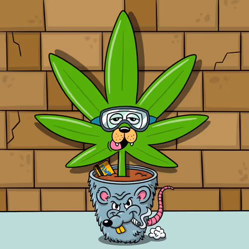 Flwrs Official