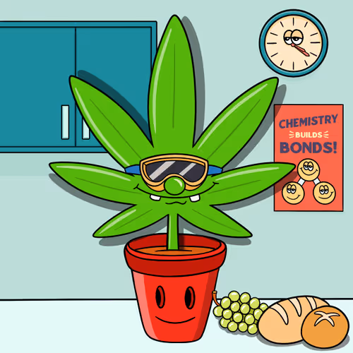 Flwrs Official