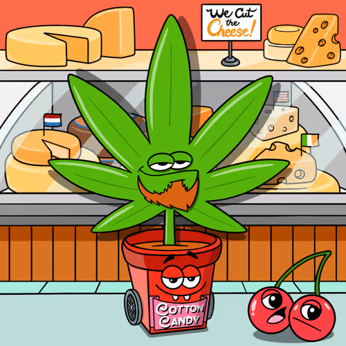 Flwrs Official