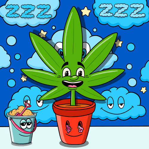 Flwrs Official