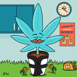 FLWRS #2213
