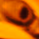 62