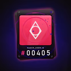 HASCH PLAYER ID #405