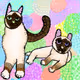 Cats - uuNVAMuC7r