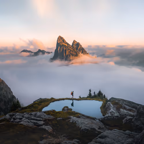 Chad Torkelsen Originals