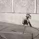 80