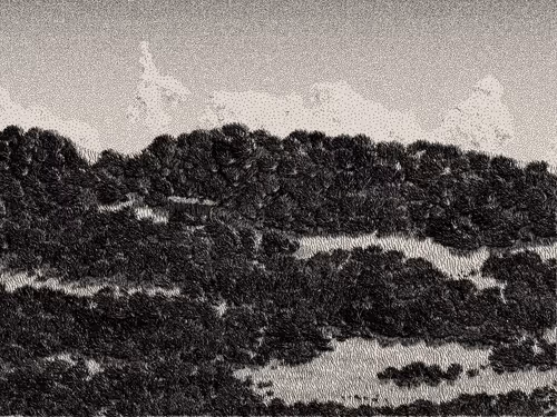 Item #476000193 Media