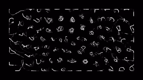 Item #383000117 Media