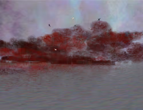 Item #459000074 Media