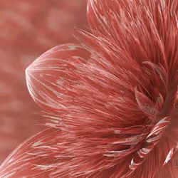 Fleur #19
