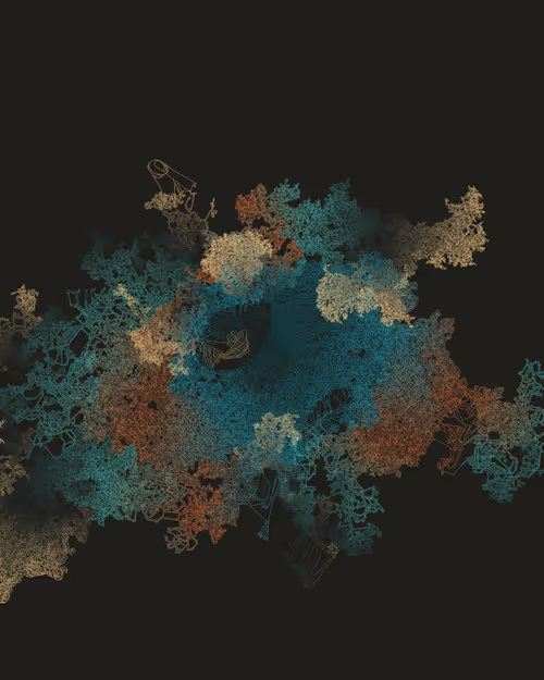 Item #458000017 Media