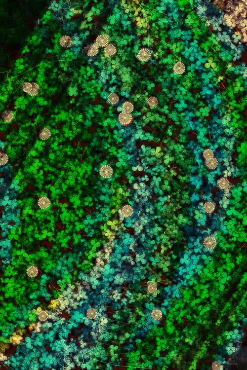 Item #478000002 Media