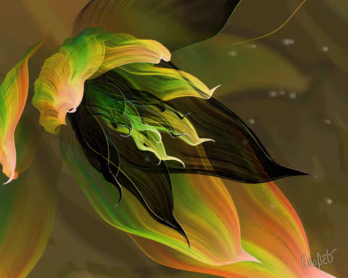 Item #378000282 Media