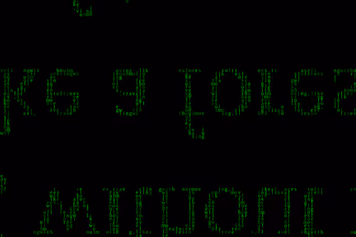 Item #433000008 Media