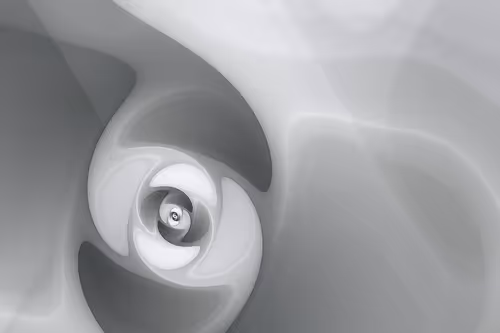 Item #394000168 Media