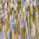 409000132