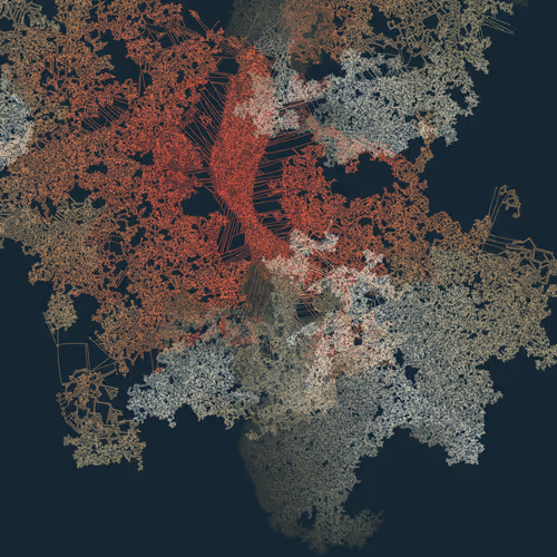 Mycelia By Jmy