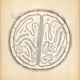Cytographia #402