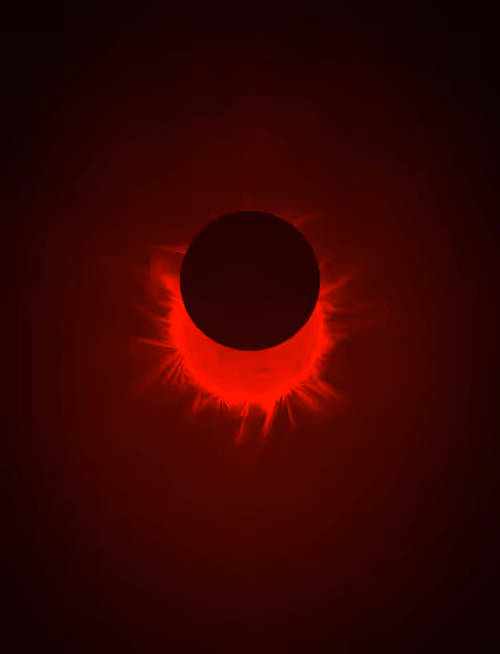 Item #423000142 Media