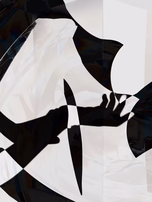 Item #455000169 Media