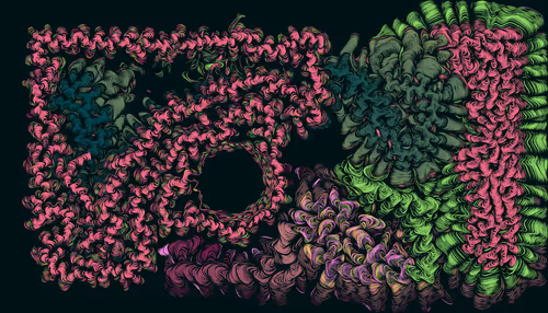 Item #456000005 Media