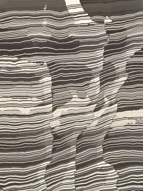 Item #466000293 Media