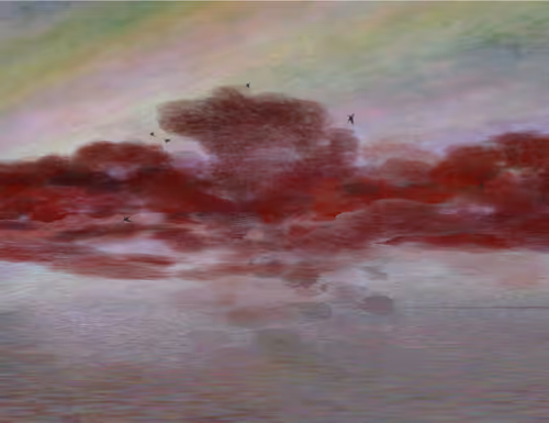 Item #459000077 Media