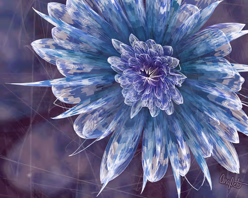 Item #378000110 Media