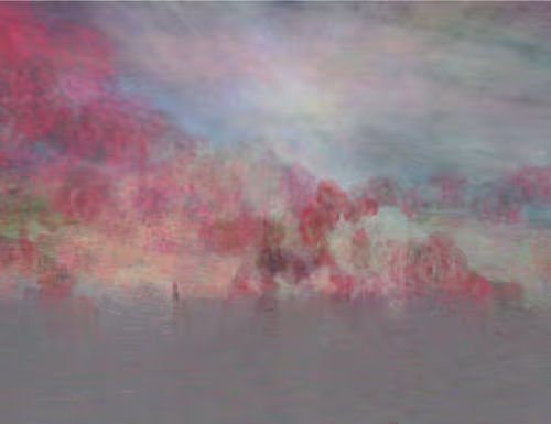 Item #459000058 Media