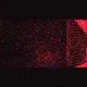 463000019