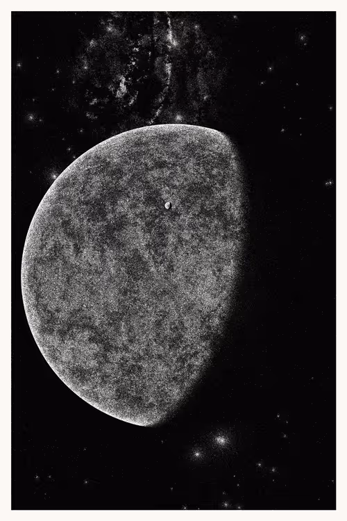 Item #434000239 Media