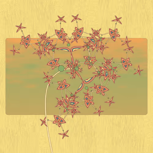 Seedlings #88