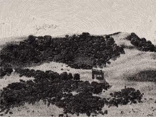 Item #476000065 Media