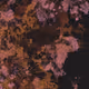 458000186