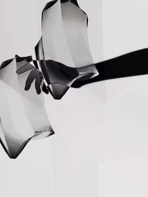 Item #455000158 Media