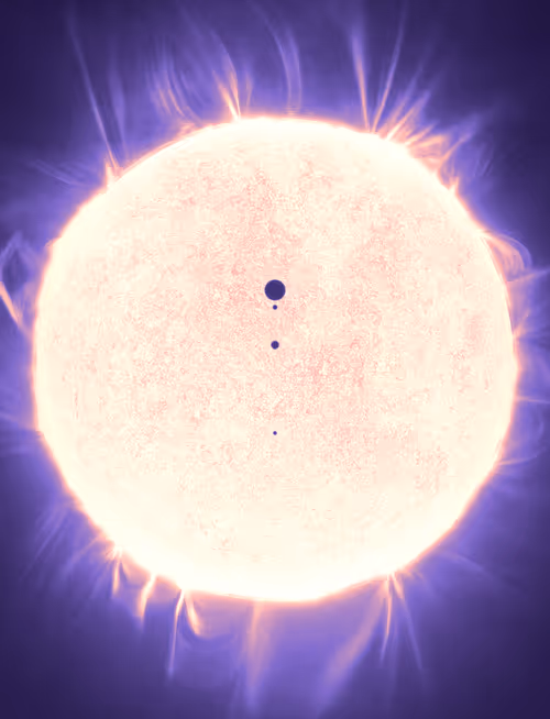 Item #423000378 Media