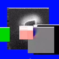 Cerebellum #111