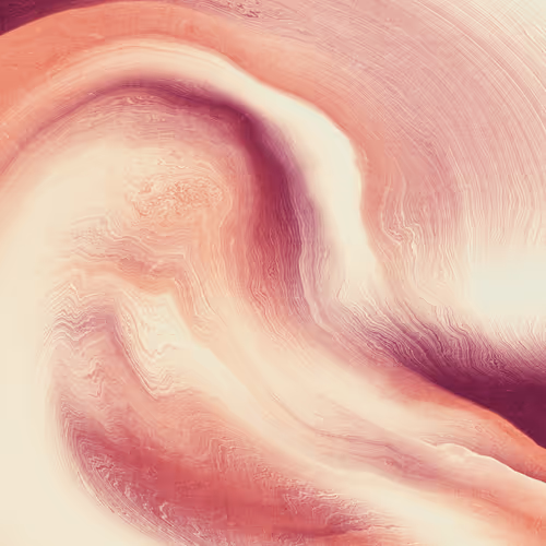 Item #479000018 Media