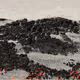 476000166