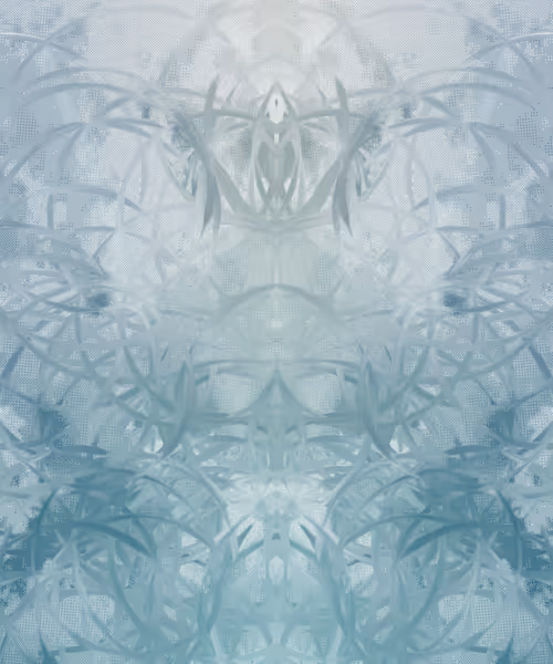 Item #405000052 Media