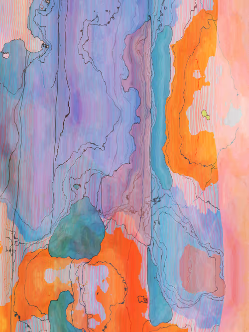 Item #466000064 Media