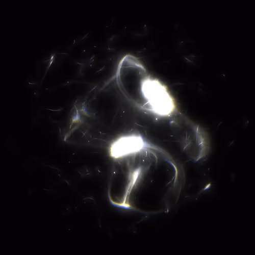 Item #424000143 Media