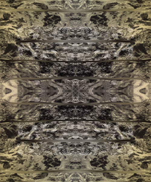 Item #405000136 Media