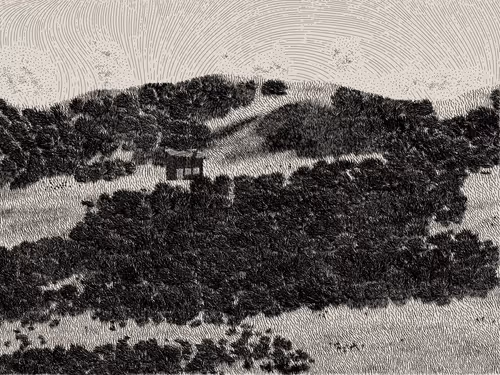 Item #476000072 Media