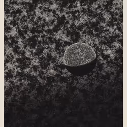 Voyager #275