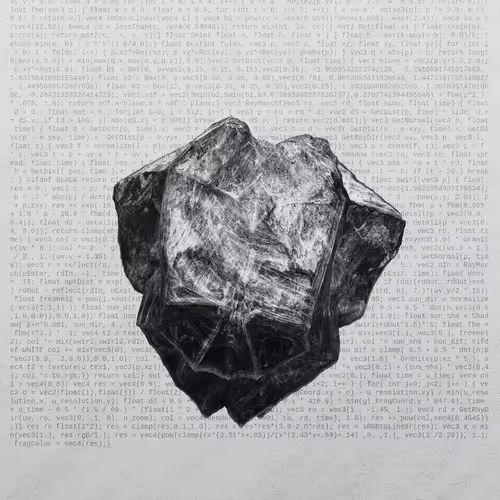 This Is Not A Rock By Nicole Vella