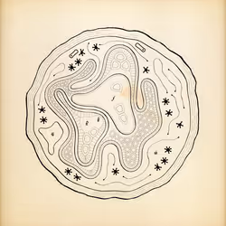 Cytographia #154