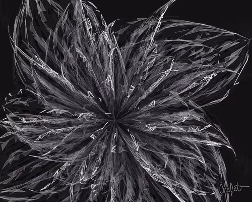 Item #378000038 Media