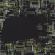 381000203