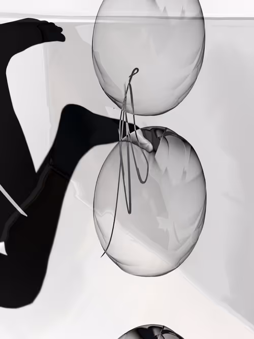 Item #455000005 Media